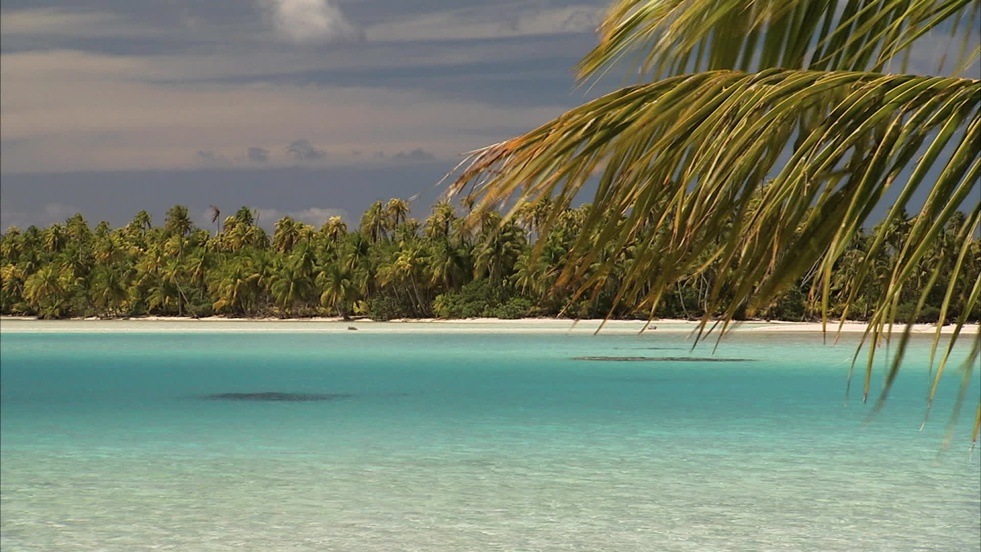 Polynesia - Blue lagoon