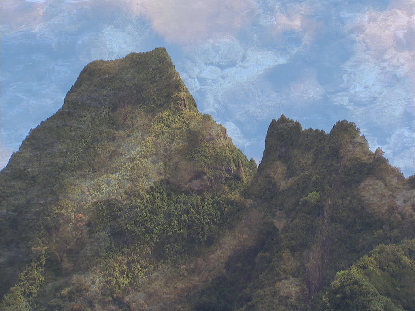 Polynesia - Moorea