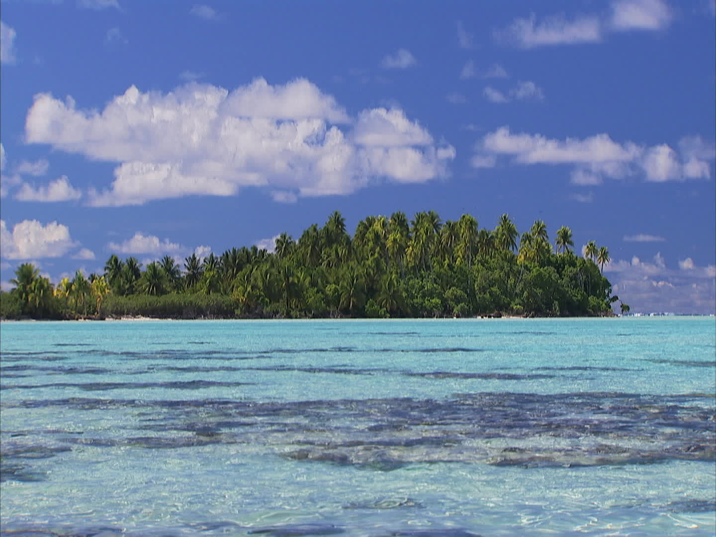 Polynesia - Tetiaroa