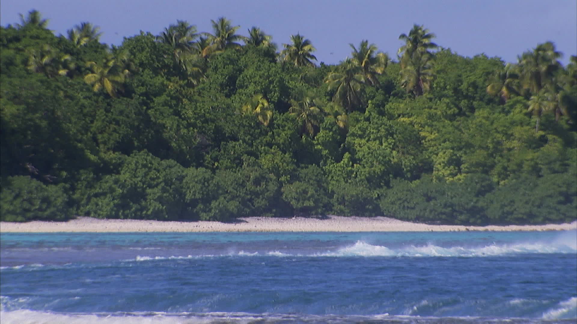 Polynesia - Tetiaroa