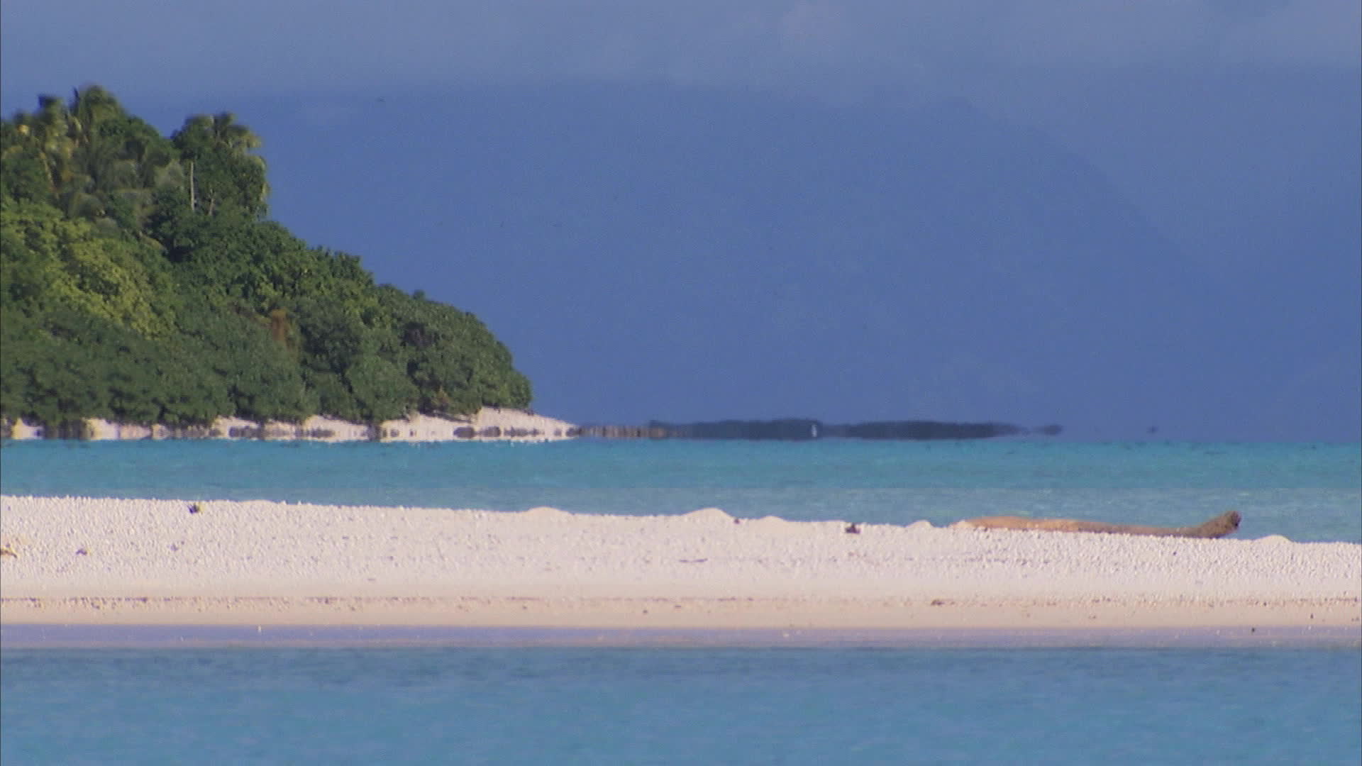Polynesia - Tetiaroa