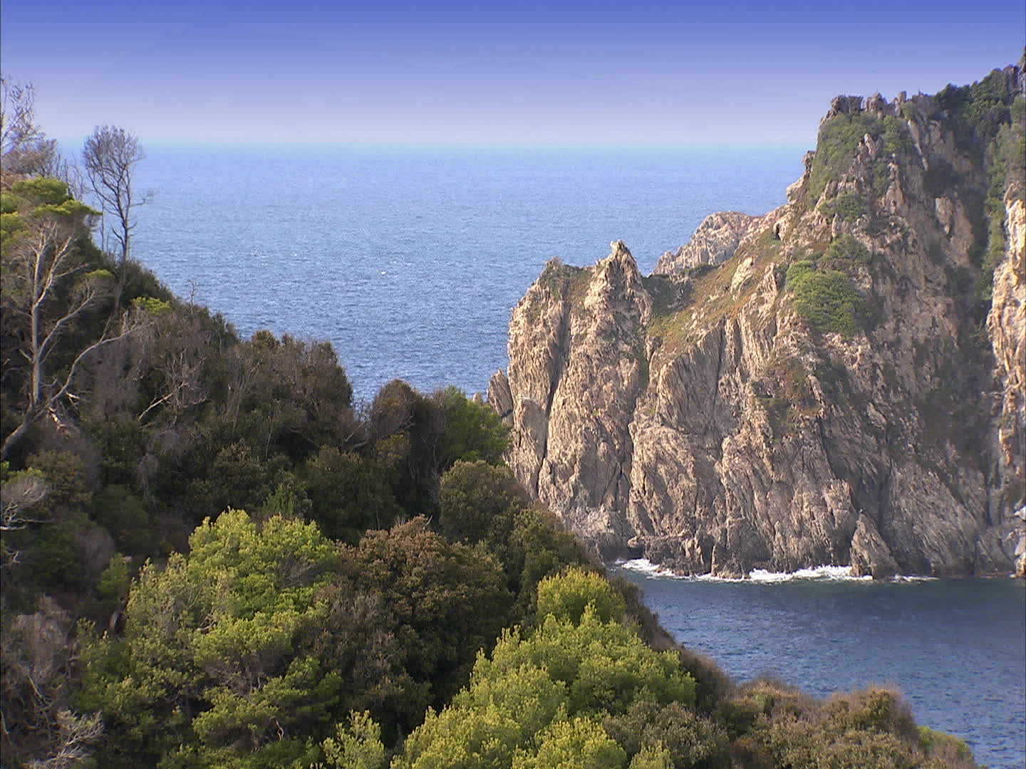 Porquerolles - bregançonnet's cove