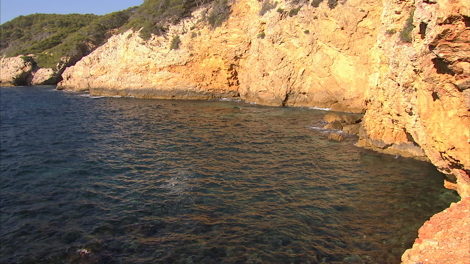 Provence - Domain of port d’Alon
