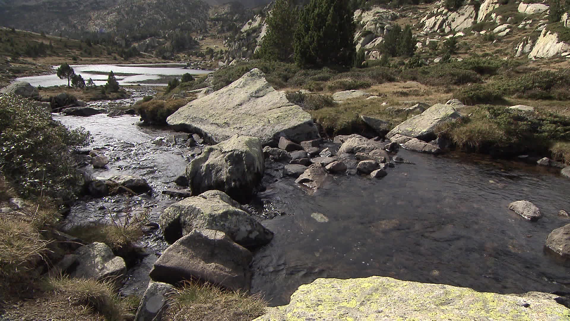 Pyrenees - Bailleul Brook