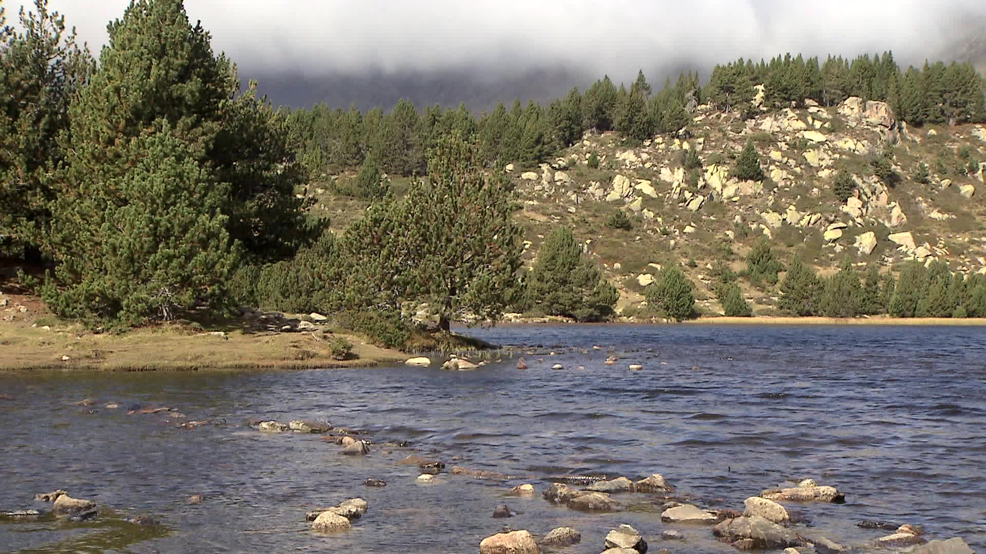 Pyrenees - Estany del viver lake