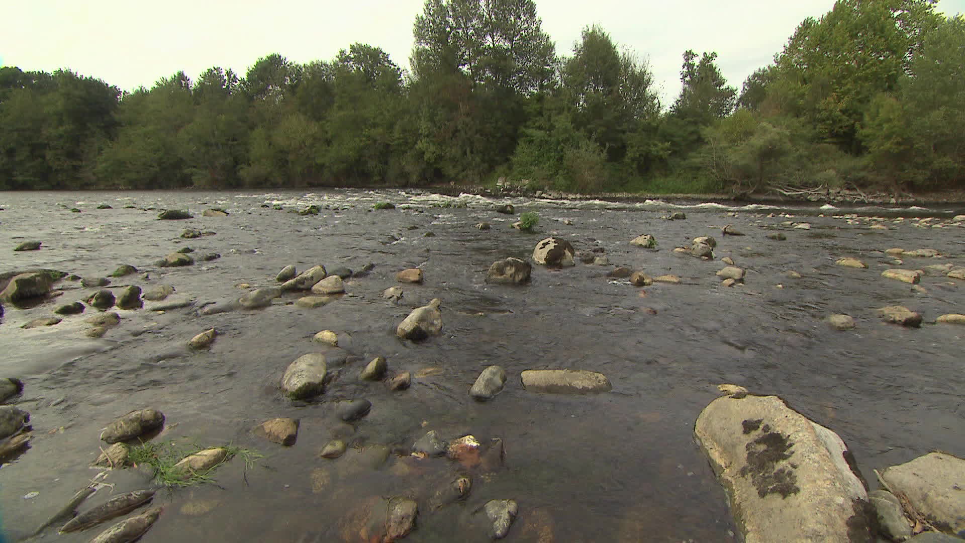 Pyrenees - Garonne river