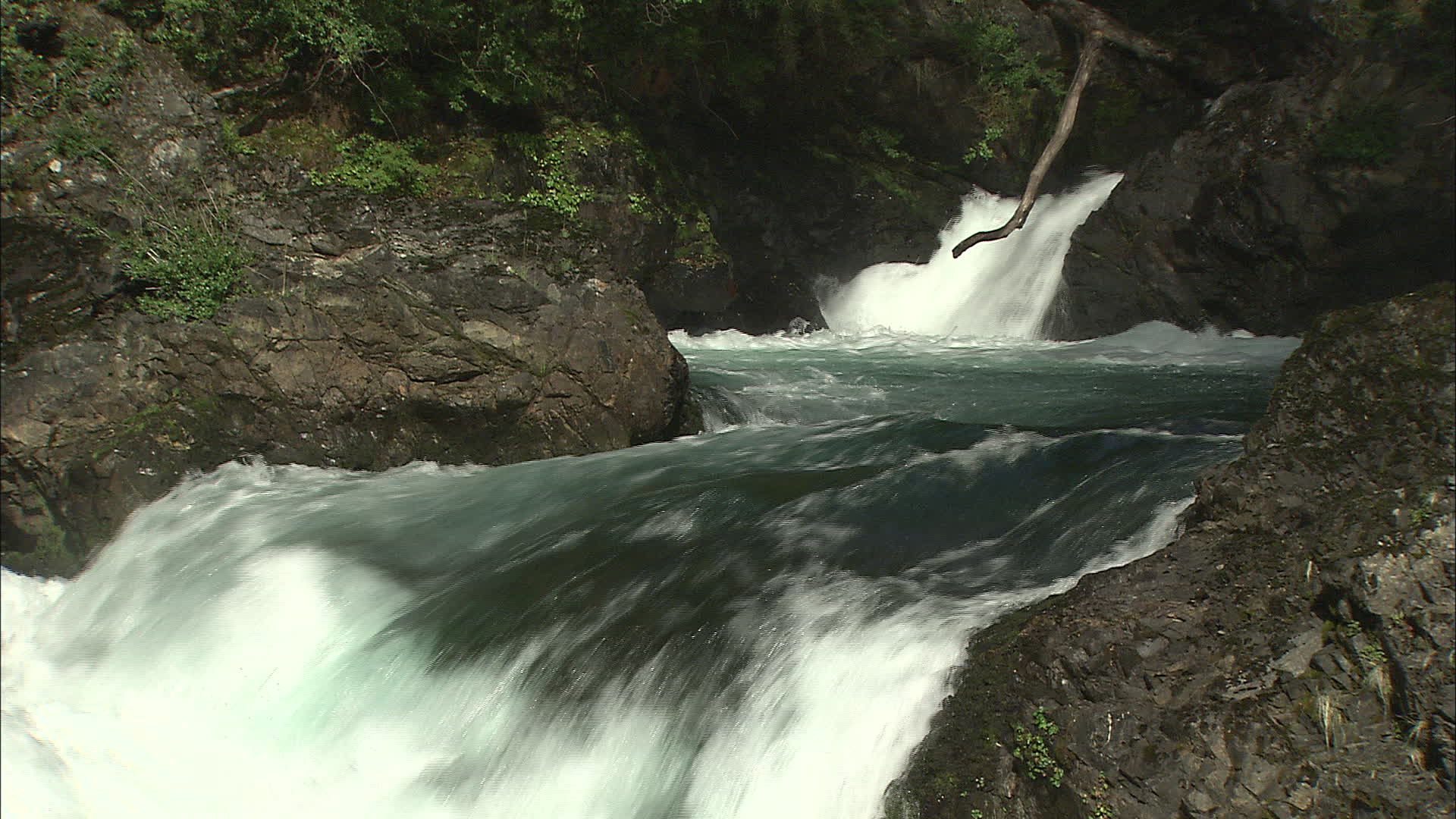 Rio Negro - Los Alerces falls