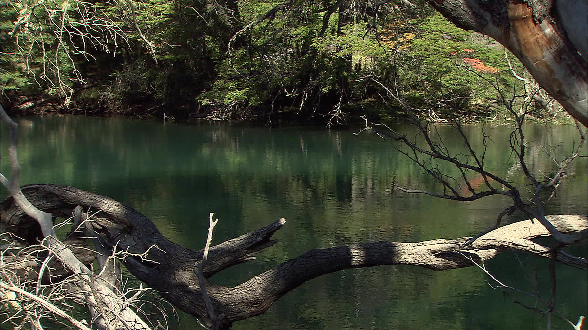 Rio Negro - rivière Manso