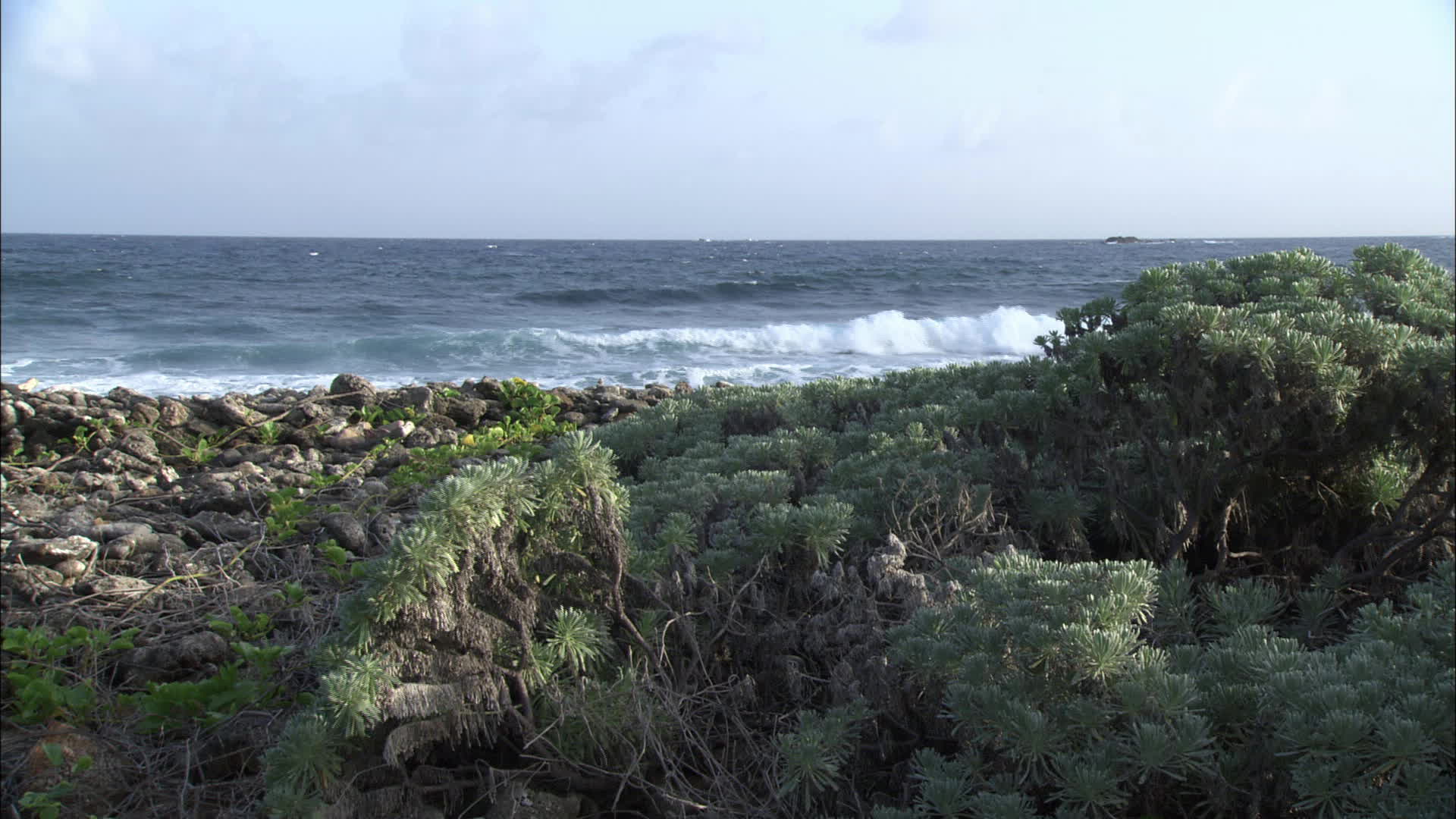 Saint Barthélemy - great Fond