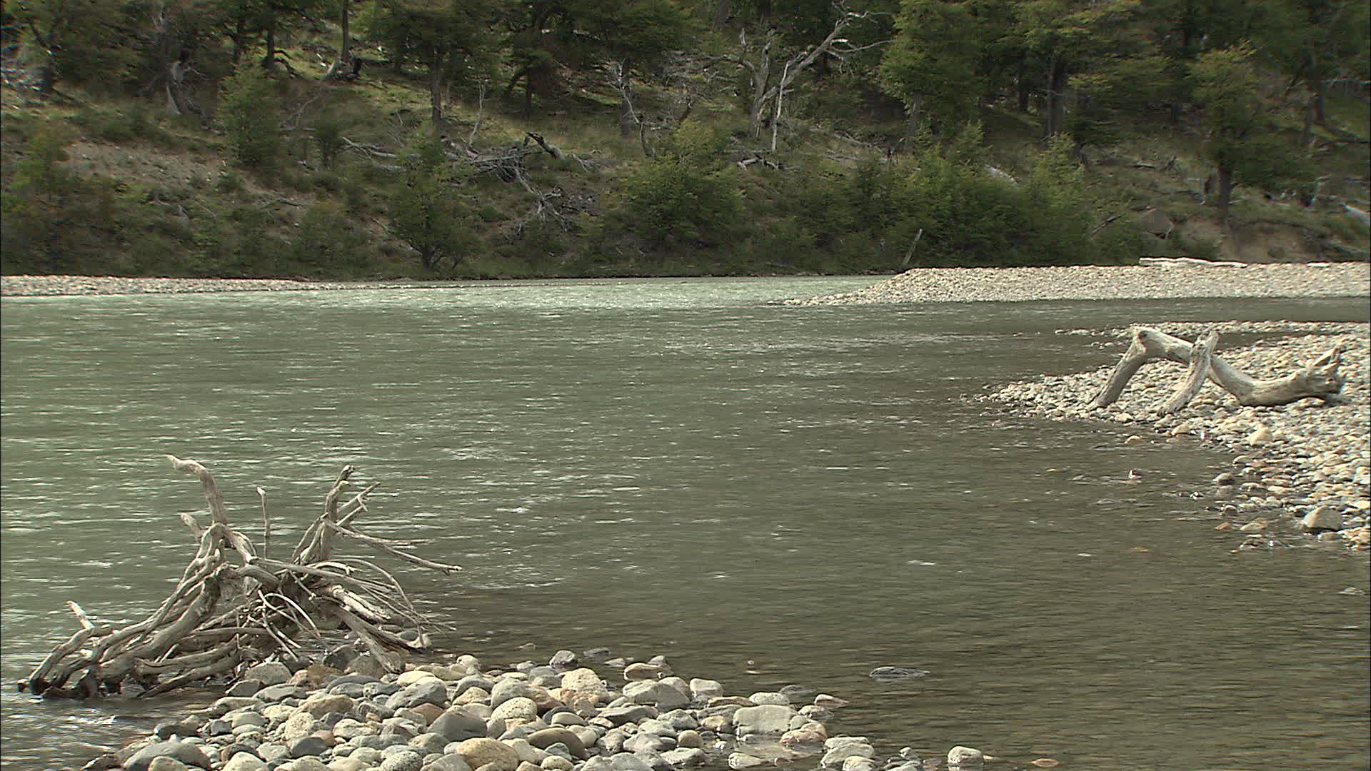 Santa Cruz - las Vueltas river
