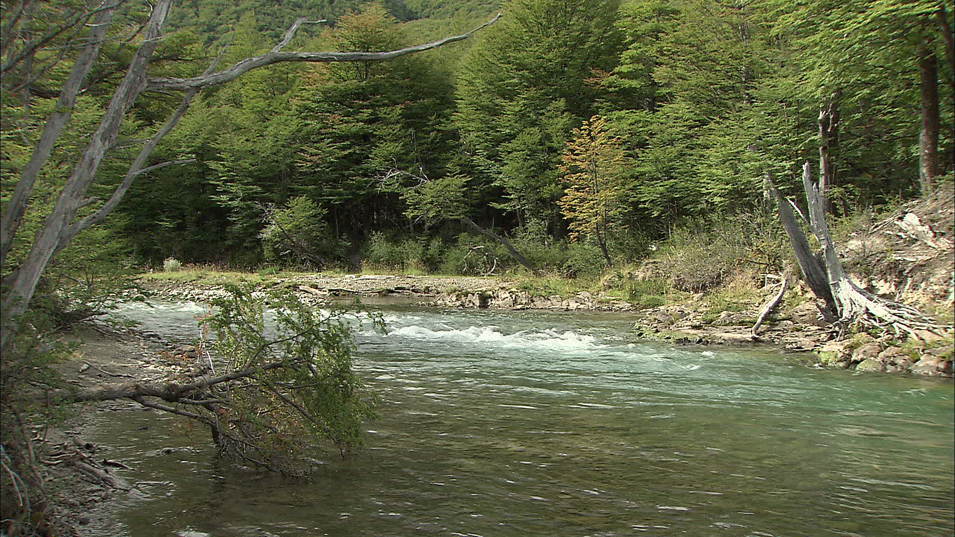 Santa Cruz - las Vueltas river