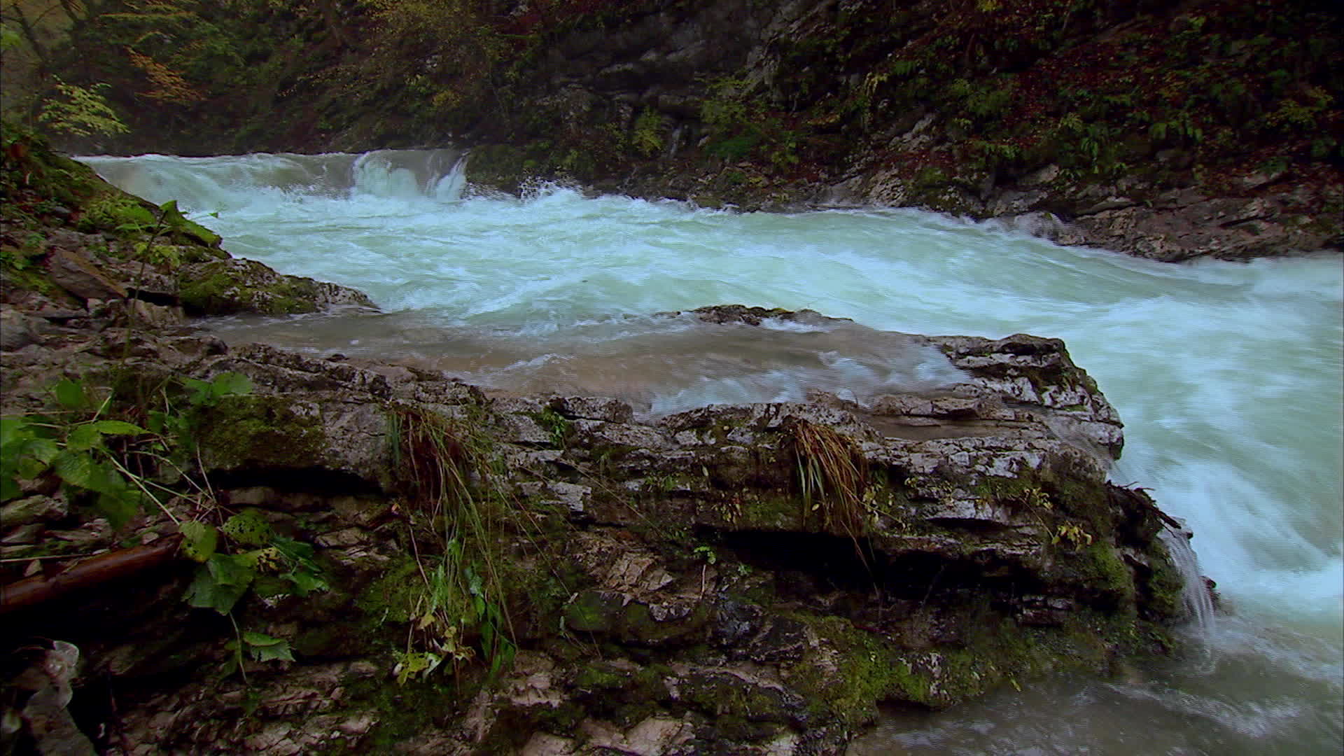Slovenia - Vintgar Canyon
