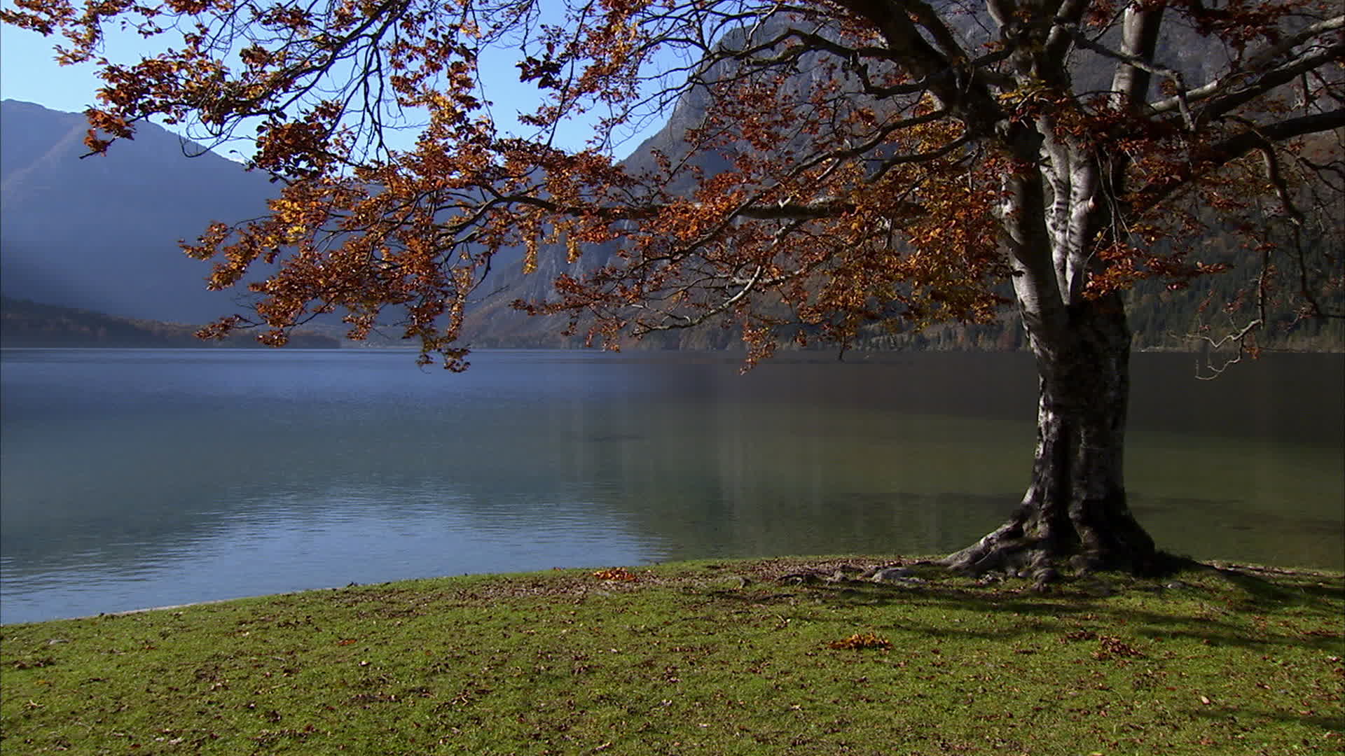 Slovenia - Lake Bohinj