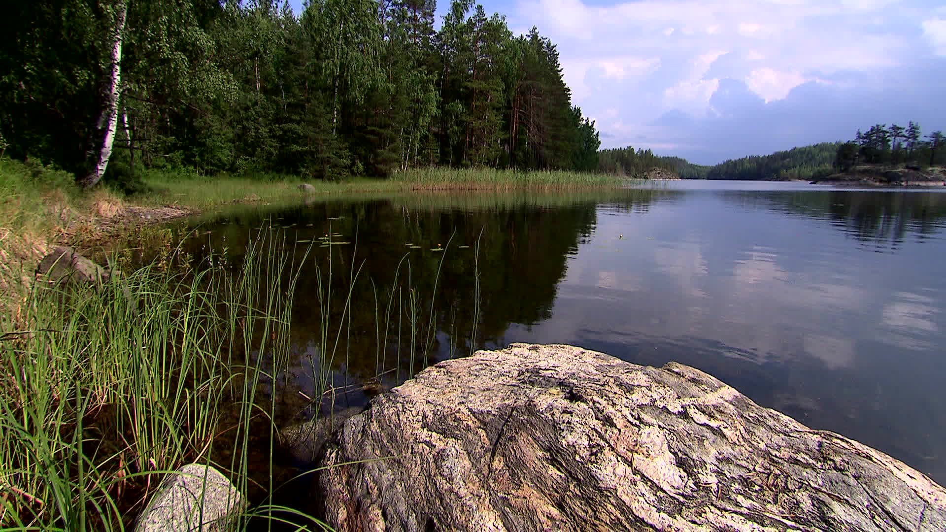 Southern Savonia - Louonsaari