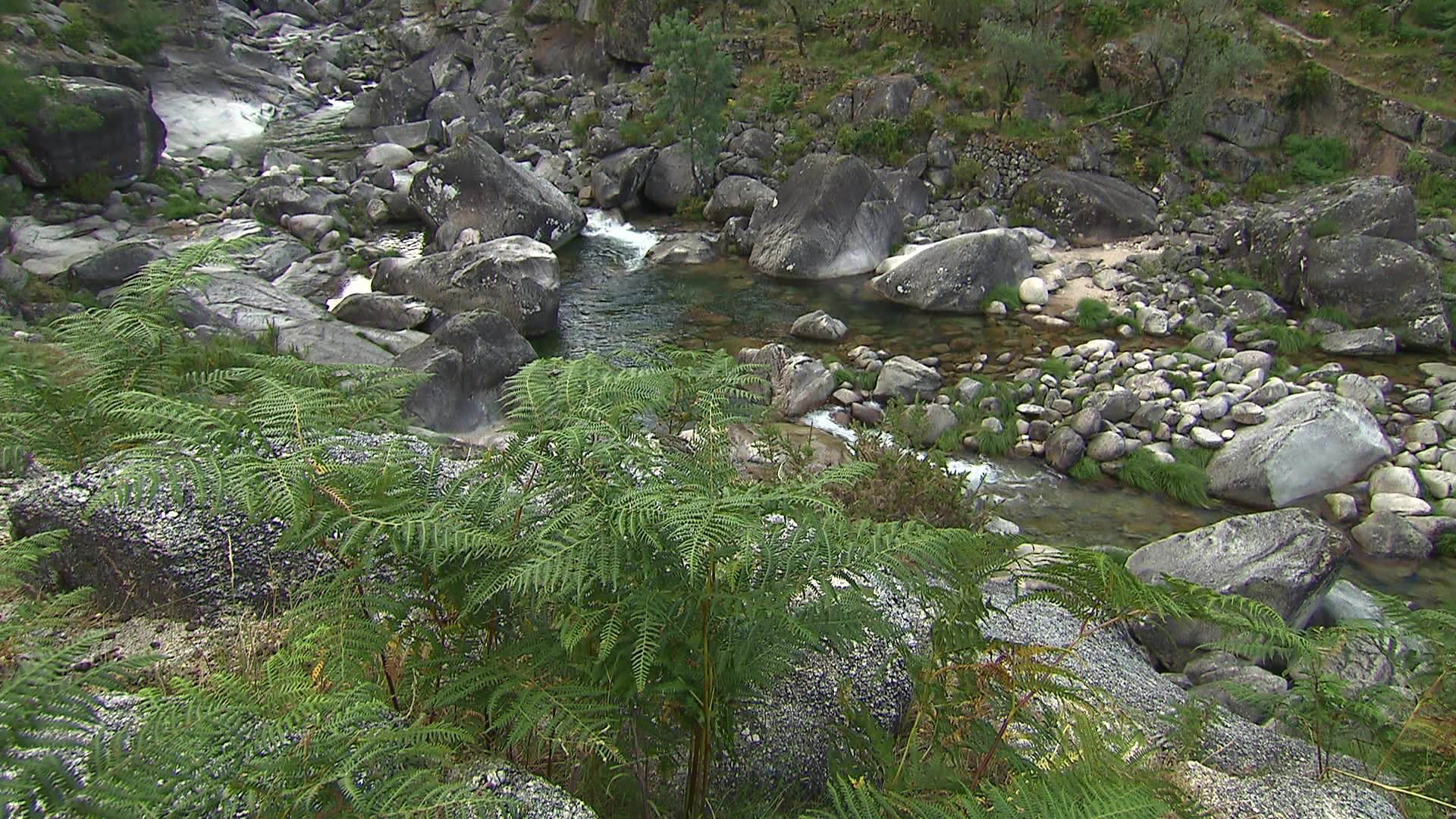 Tras-os-Montes - Toco river