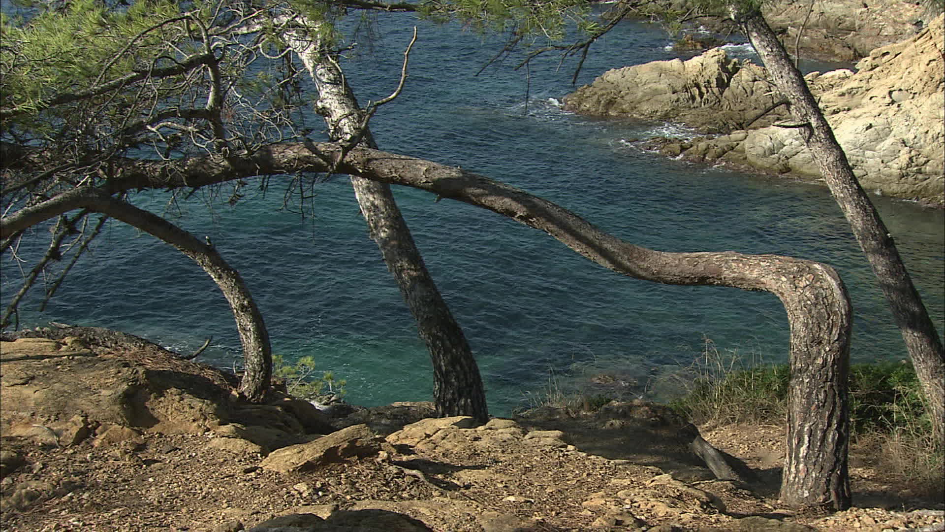 Var - Layet headland