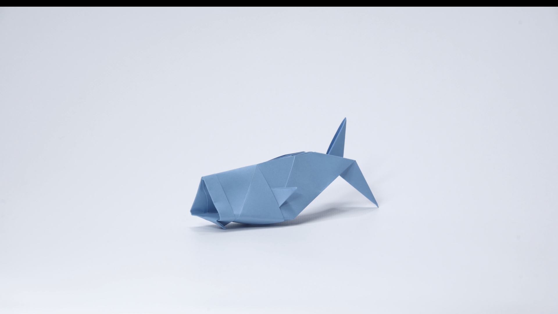 The Whale