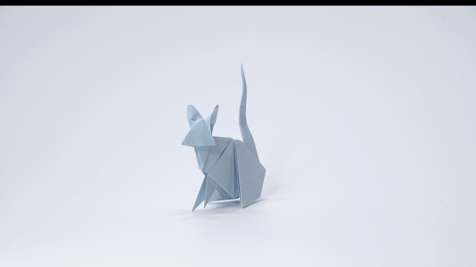 The Mouse