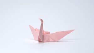 The Swan