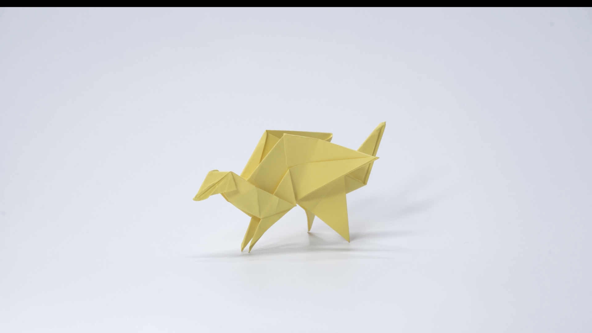 The Griffin