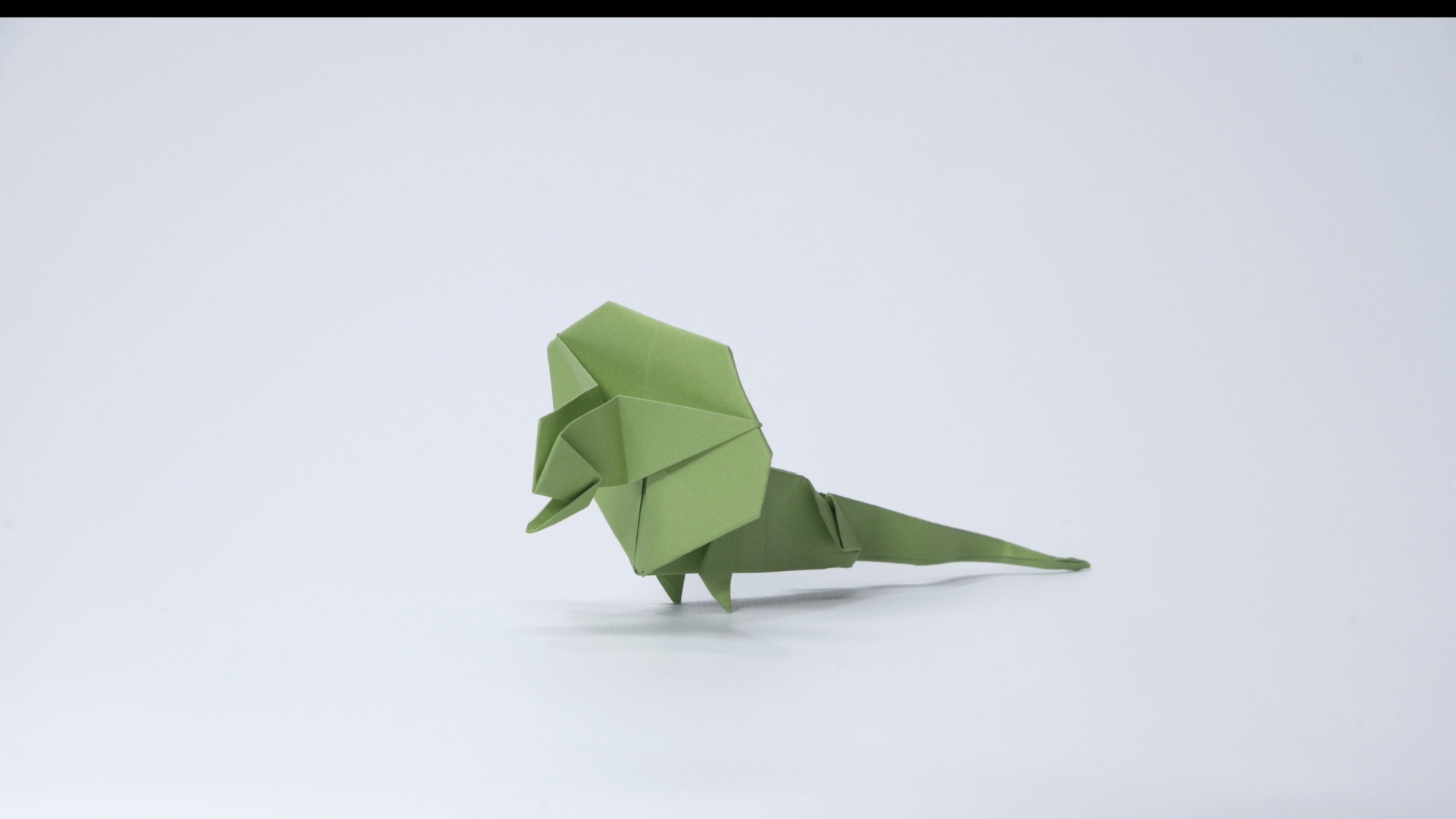 The Frilled Lizard
