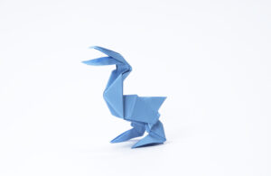 The Pelican