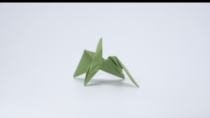 The Pterodactylus