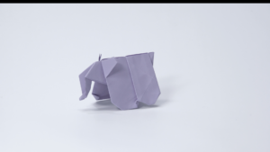 The Elephant