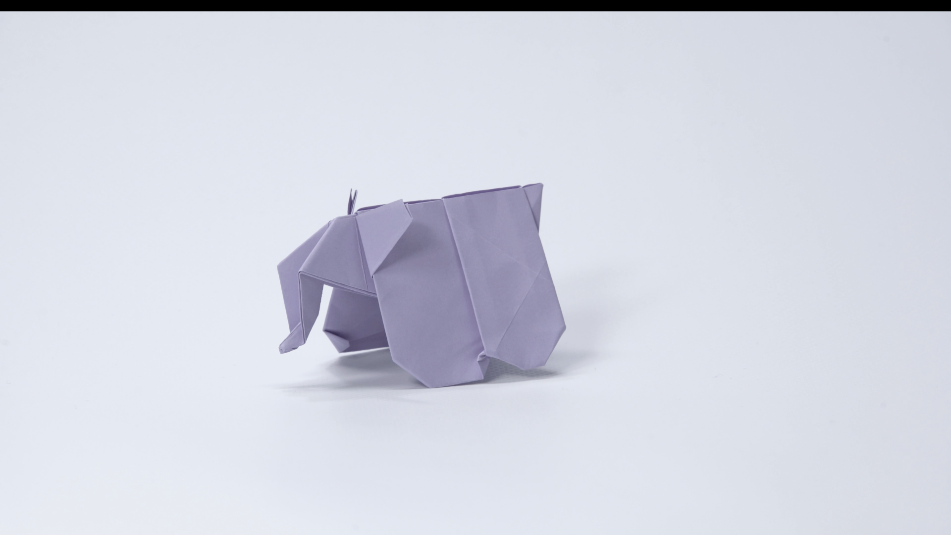 The Elephant