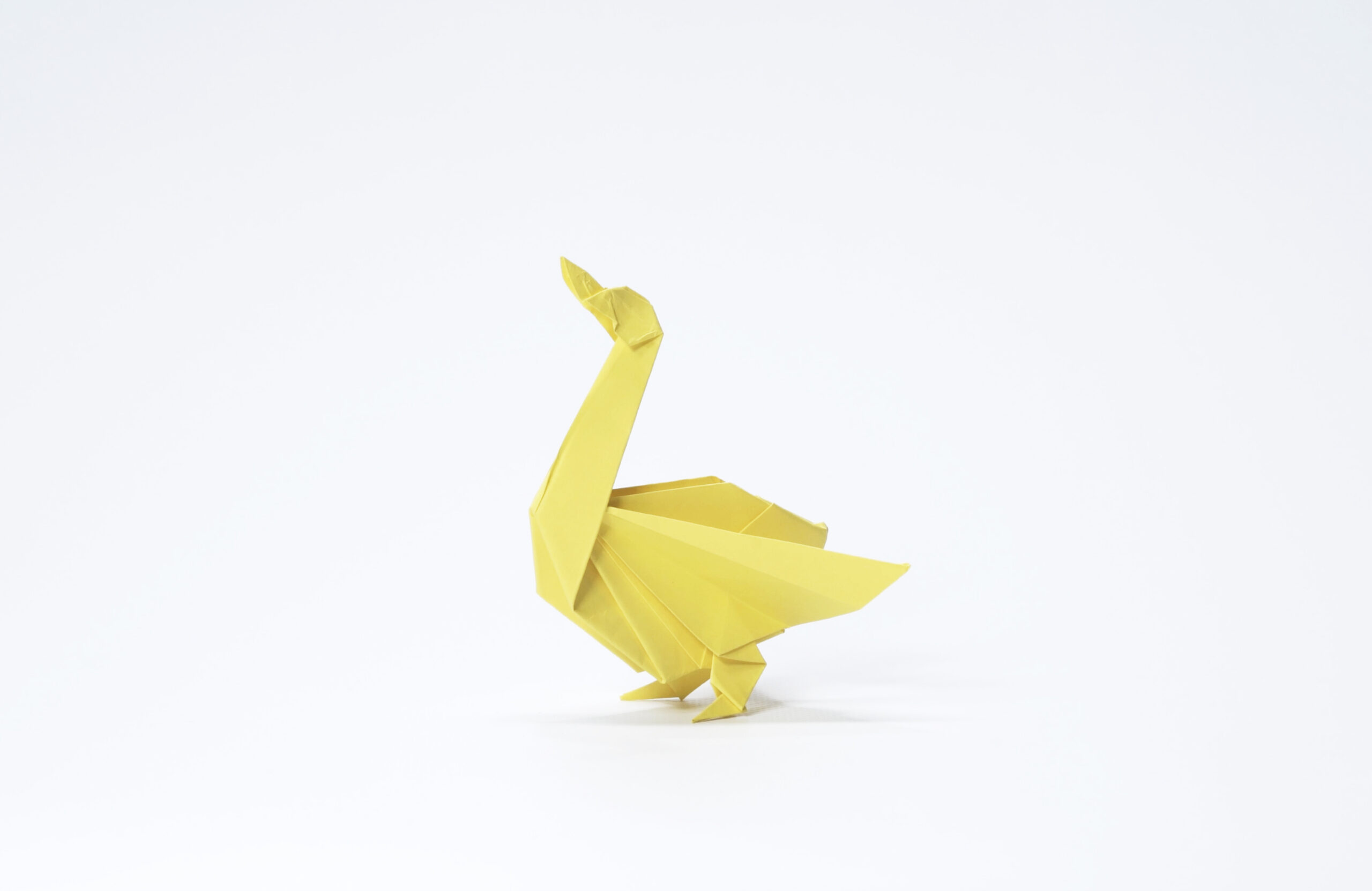 The Goose