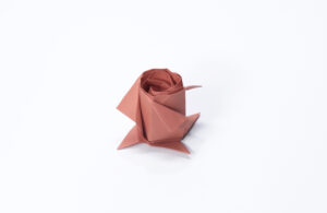 The Rose