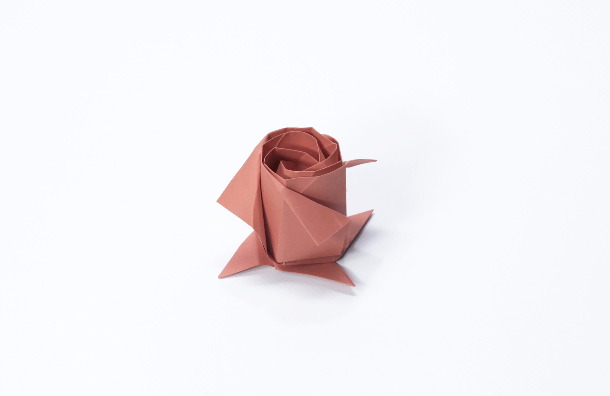 The Rose