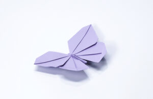 The Small butterfly