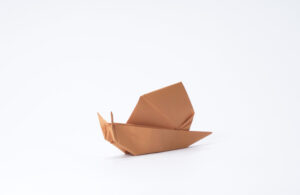 The Snail
