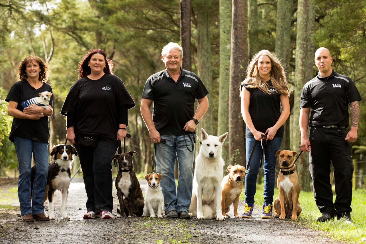 Pound Pups to Dog Stars