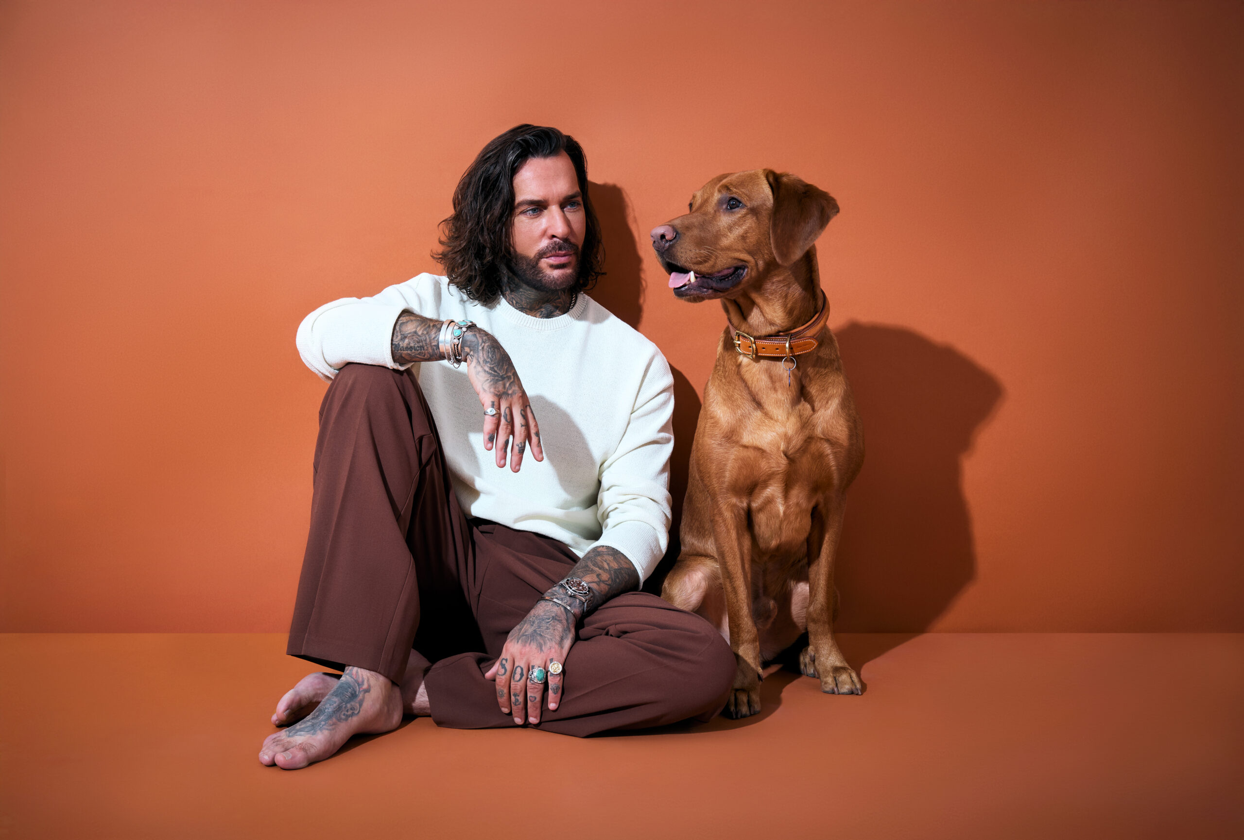 Pete Wicks: For Dogs' Sake