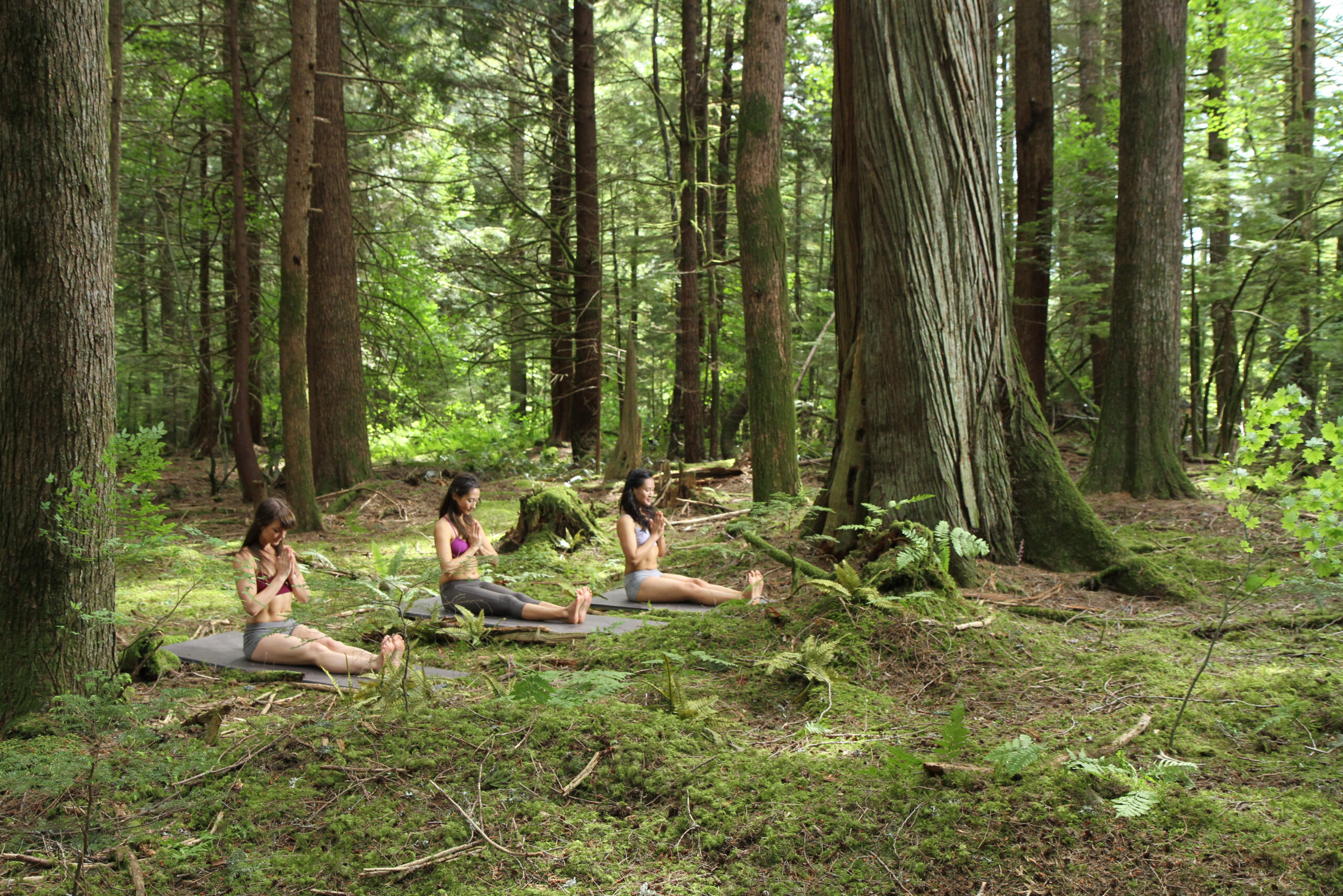 Anahata Flow : Ouverture des hanches des épaules et du cœur