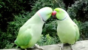 The Company of Others, Part Two