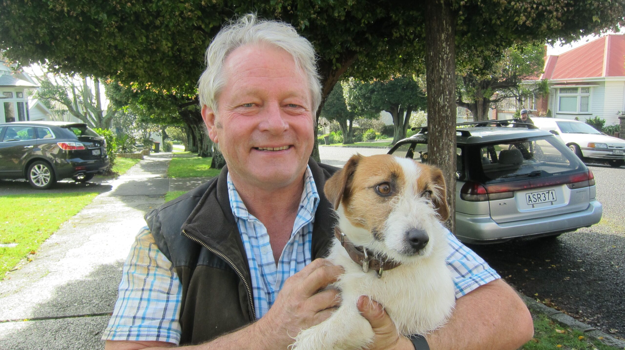 Pippy - truffle dog