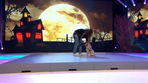 La demi-finale S & M