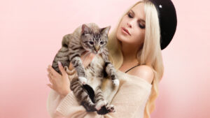 Un lion dans le salon