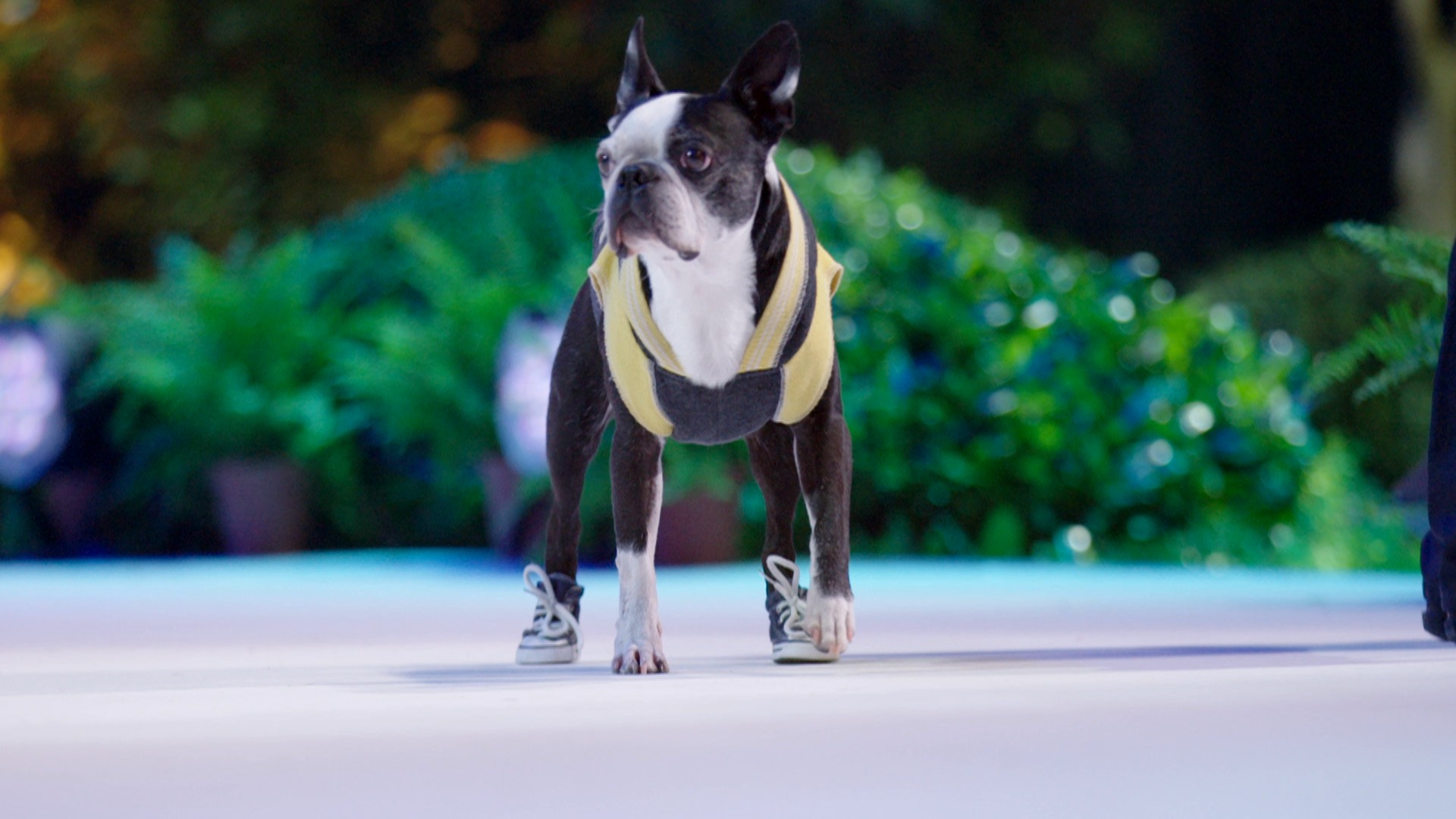 Les héros du quotidien