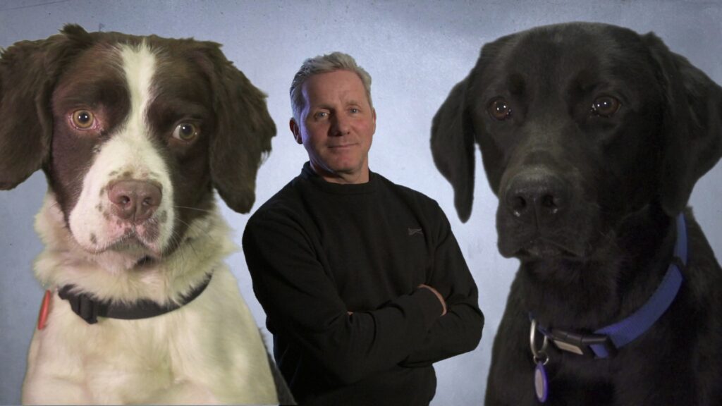 Danger Dogs